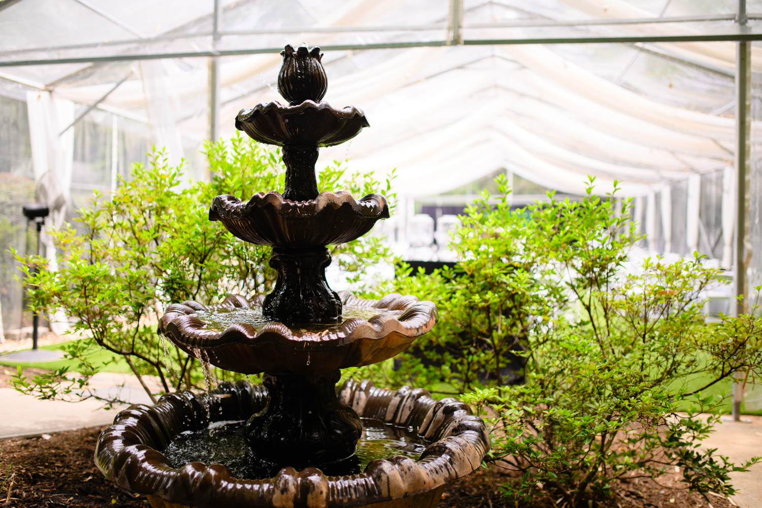 A fountain in a garden